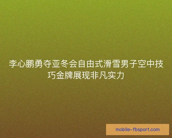 李心鹏勇夺亚冬会自由式滑雪男子空中技巧金牌展现非凡实力 李心鹏勇夺亚冬会自由式滑雪男子空中技巧金牌展现非凡实力