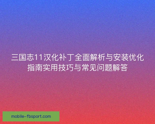 三国志11汉化补丁全面解析与安装优化指南实用技巧与常见问题解答